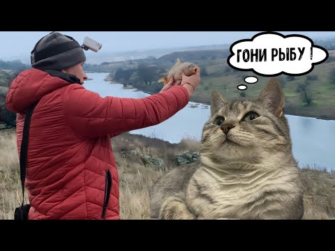 Видео: ЛОВЛЮ РЫБУ В РЕКЕ ВОЗЛЕ ДОМА. КОТ ОТПРАВИЛ НА РЫБАЛКУ.