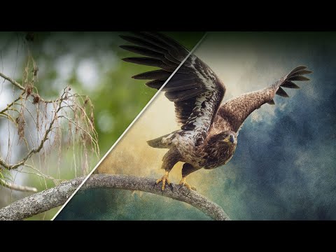 Видео: Техника Photoshop, о которой вы даже не подозревали