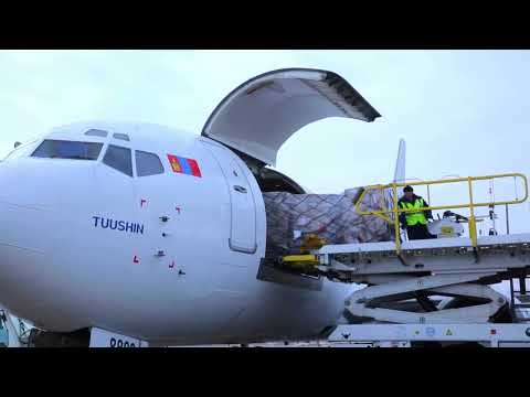 Видео: Туушин 35 жил