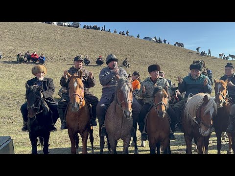 Видео: Тукуш балбан уулуна элден бата алуу максатында чоон Аламан улак берди