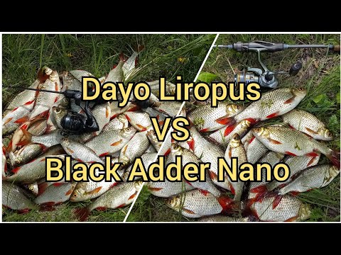 Видео: Красноперка гнёт спиннинг! Dayo Liropus 198 см. 0.2-0.8 гр. VS  Black Adder Nano 168 см. 0.5-1.0 гр.