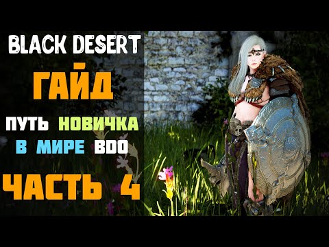 Видео: Гайд - Путь Новичка в мире BDO в 2020 году! Часть №4! [Black Desert]