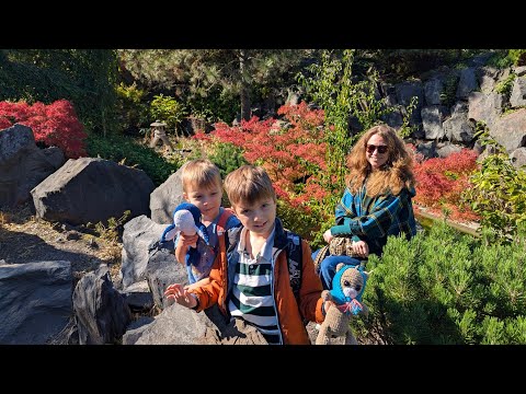 Видео: Egapark в Эрфурте: осень, цветы и тыквы