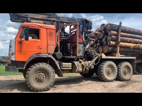 Видео: Замутил лесовоз кругляка в Саянске почти даром! Как?
