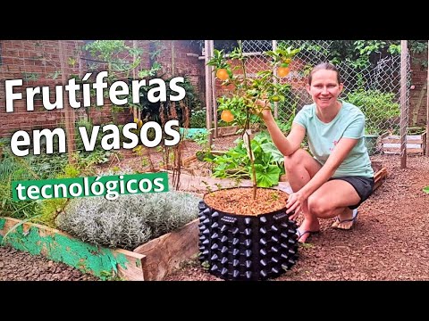 Видео: Как посадить плодовые деревья в технологические горшки 🌱 Посадка и удобрение 💚