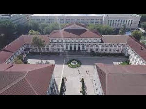 Видео: «Трансплантация почки – как сделать технологию рутинной, а выживаемость трансплантата максимальной?»