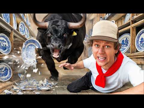 Видео: Уничтожит ли бык антикварный магазин?