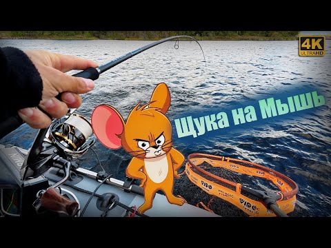 Видео: Ловля ЩУКИ на МЫШЬ! Рыбалка на спиннинг в сентябре