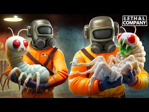 Видео: ОБНОВЛЕНИЯ В ЛЕТАЛ КОМПАНИ! СМОТРИМ ЧТО НОВОГО! - Lethal Company