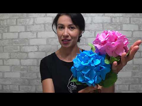 Видео: DIY. Гортензия из фоамирана. 2 способа. Foamiran hydrangea