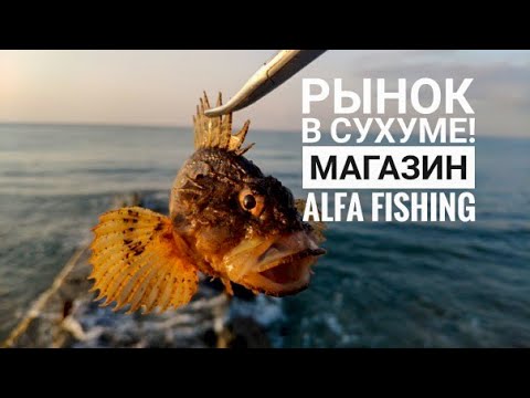 Видео: Рынок в Сухуме! Удалось посетить рыболовный магазин Alfa Fishing!