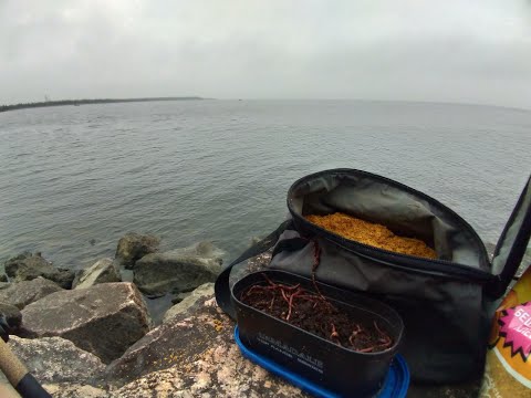 Видео: Рыбалка в СПб.Дамба.Закрытие Фидерного сезона .