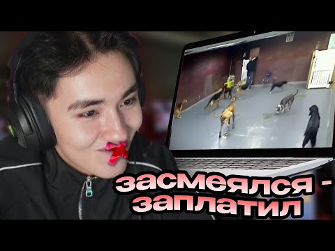 Видео: АСЛАН ШУКАША ПЛАТИТ ТОМУ, КТО ЕГО РАССМЕШИТ!