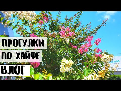 Видео: Хайфа. Набережная возле Рамбам. Отвечаю на гневные комментарии