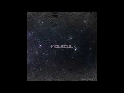 Видео: MOLECUL - Обмани меня дважды (SINGLE 2025)