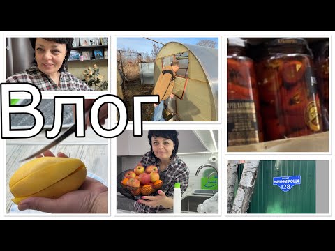 Видео: Давно ЕГО НЕ ЕЛИ//сшит НА НЕЕ//покупки//наведались в САД и СВЕТОФОР