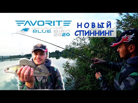 Видео: Рыбалка на щуку и судака в октябре на новый спиннинг Favorite Blue Bird 2020 BB1-802L-T.