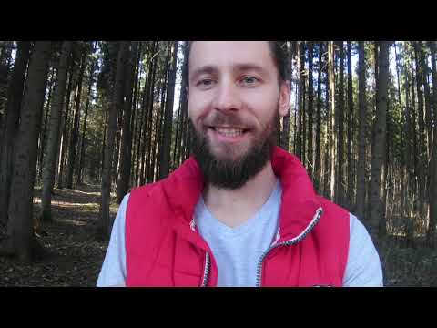 Видео: Тип личности - ДЕРЕВО ЯН - познай себя