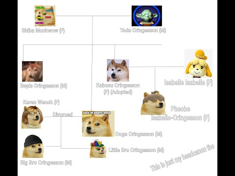 Видео: Зачем собаке родословная?