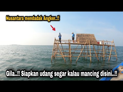 Видео: Оригинальный саунг, который не был сертифицирован, рыба не шутка.