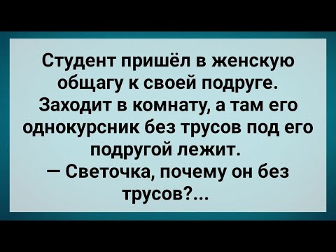 Видео: Студент Пришел в Женское Общежитие! Сборник Свежих Анекдотов! Юмор!.