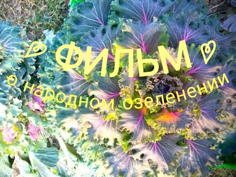 Видео: ❖ Сама-садик-я-садила... ❖ "Фильм-размышление" / Сады от Ольги Болговой / Gardens by Olga Bolgova