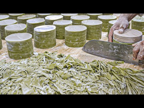 Видео: Мастер нарезки пельменной корочки ножом / Корейская уличная еда