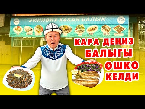 Видео: Түркиянын ПАЙ-ПАЙ БАЛЫГЫ Ошко келди ~ Жеген да арманда, жебеген да арманда