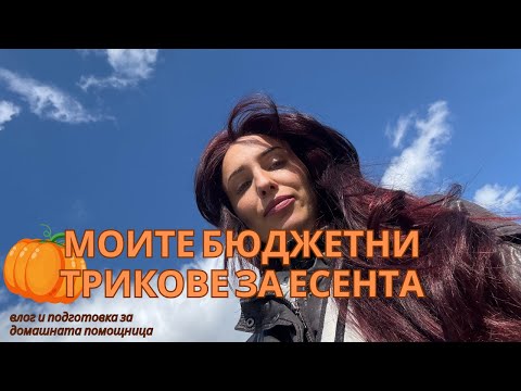 Видео: Що е то Домашна Помощница? 🧼| Влог с бюджетни идеи за есента 🍁 #cleaning #cleaninglady #есен #fall 