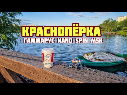 Видео: Мормышинг с Gammarus | Краснопёрка реагирует на деликатную проводку