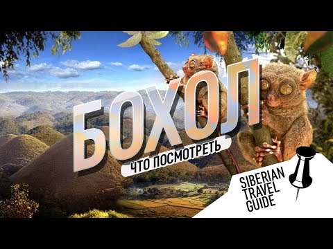 Видео: Филиппины | куда все едут на Бохоле