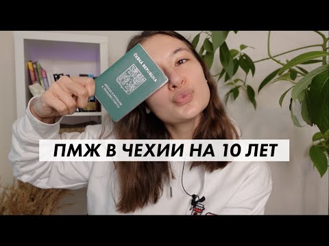 Видео: ПМЖ В ЧЕХИИ | проверки и допросы в полиции | замуж за чеха