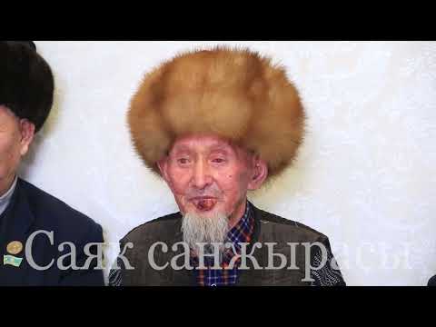 Видео: "Саяк санжырасы" Боргемиктер.