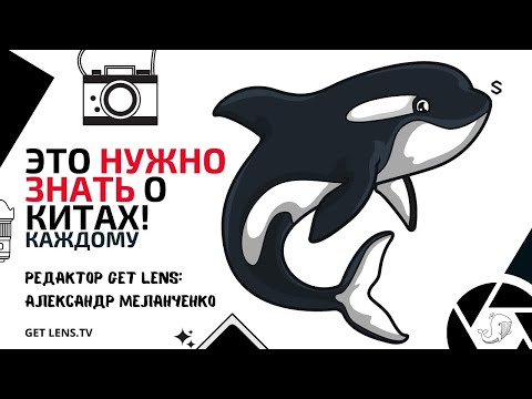 Видео: ФОТО НА КИТОВЫЙ ОБЪЕКТИВ: Что такое китовый объектив? Хорош ли он? GET LENS