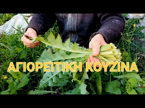 Видео: Κατουνάκια: Πώς ψήνουν ψωμί,Αγιορείτικη κουζίνα,σαλάτα με άγρια ​​βότανα / Катунакия: Как пекут хлеб