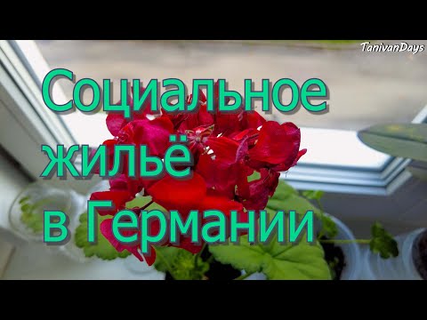 Видео: Социальная квартира в Германии. Переехали. ноябрь 2022