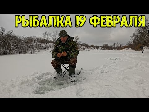 Видео: Попал на вечерний клёв! Рыбалка на речке 19 февраля 2024