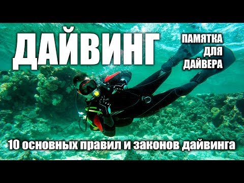 Видео: 10 основных правил дайвинга