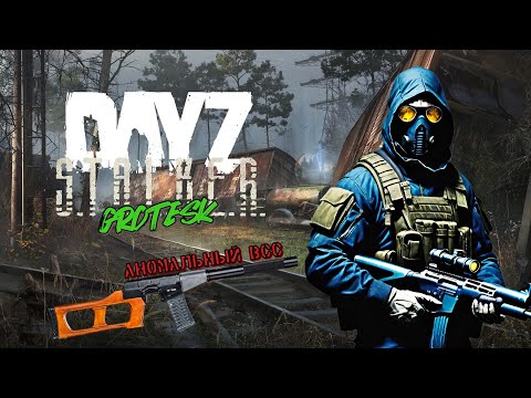 Видео: 🔶DAYZ GROTESK STALKER PVE NH 2🔶Сбор компачей на севере для ВСС