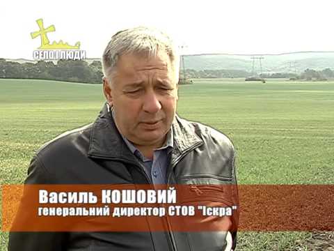 Видео: Село і люди: СТОВ Іскра