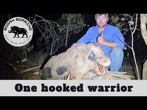 Видео: Один воин-крючок