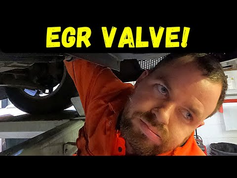 Видео: Transit Custom потеря мощности до 2000 об/мин как заменить клапан EGR 2.2 2013-2018 турбо низкий ...