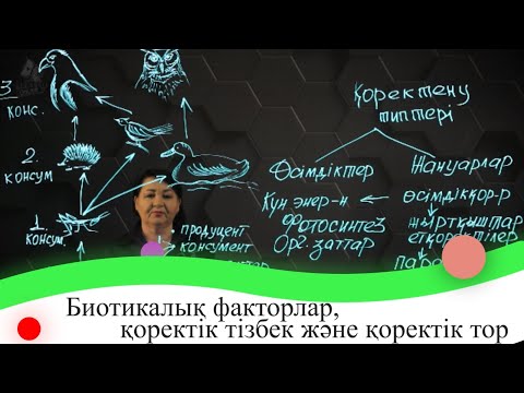 Видео: Биотикалық факторлар, қоректік тізбек және қоректік тор. 7 сынып.
