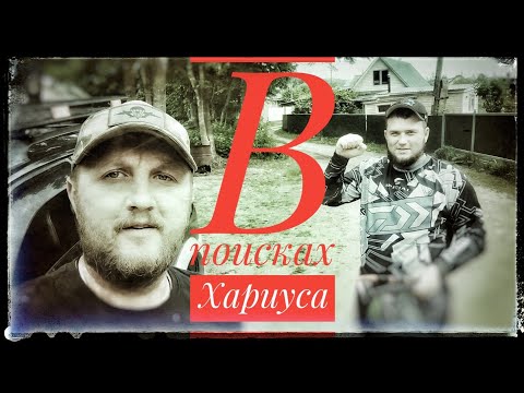 Видео: Ловля Хариуса на горной реке#fishing#рыбалка#приморье#хариус#ленок #горнаярека#ловляхариуса#рыба