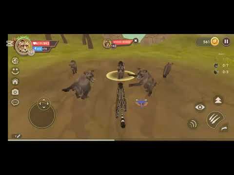 Видео: 26 жовтня 2025 р.