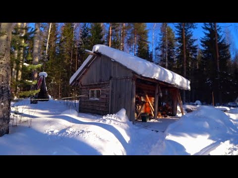 Видео: ПРОБИВАЕМ ПУТИК в ИЗБУ. ЧЕТЫРЕ ДНЯ в ТАЙГЕ. СТАВИМ СЕТИ под ЛЁД на ТАЁЖНОМ ОЗЕРЕ. 4 часть.