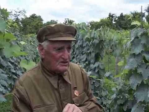 Видео: "Адзыхь" - Дурипш