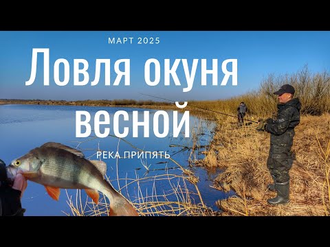 Видео: Микроджиг на реке Припять