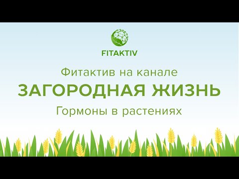 Видео: "Советы и секреты - Гормоны в растениях" канал Загородная жизнь
