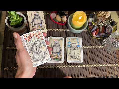 Видео: События ДЕКАБРЯ‼️